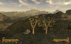 The Mohave Wasteland